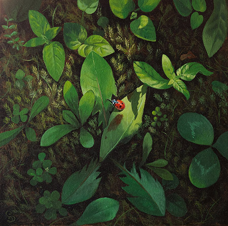 Spots, Acrylic on canvas board, 40 x 40 cm (2024)