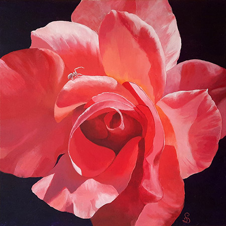 Rose, Acrylic on canvas board, 40 x 40 cm (2025)